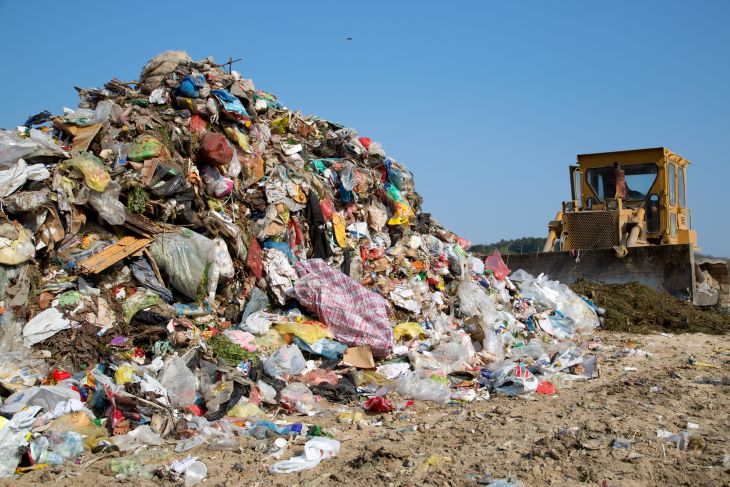 Food scraps and organic waste